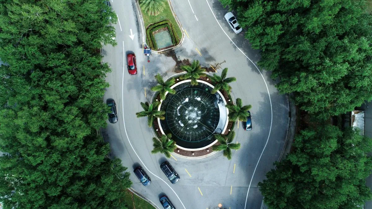 Tree-lined road in Plantation, Florida