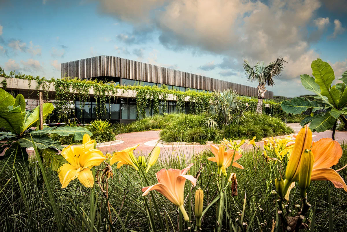 Office Building Roofing in Plantation, FL